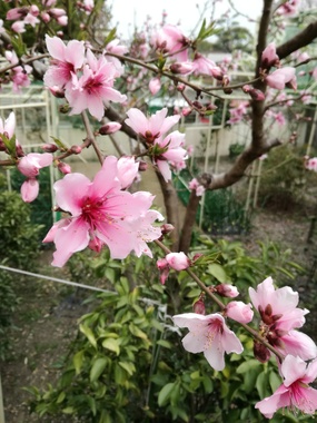 IMG_20190325_161925.jpg