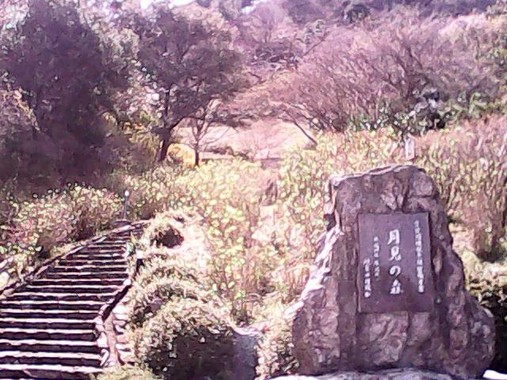 image_search_1553898689339.jpg