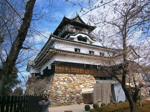 image_search_1554496776587.jpg