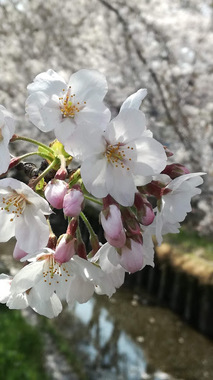 IMG_20190406_103240.jpg