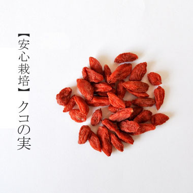image_search_1554799288104.jpg
