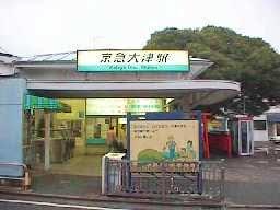 image_search_1554884896353.jpg