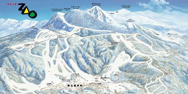 image_search_1555055444988.jpg
