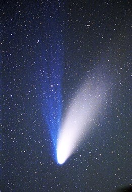 image_search_1555318384864.jpg