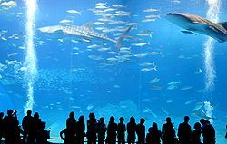 image_search_1555318765673.jpg