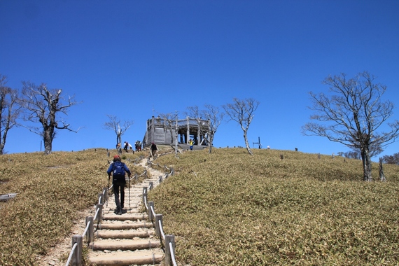 image_search_1555543680883.jpg