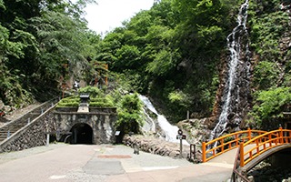 image_search_1555895230942.png