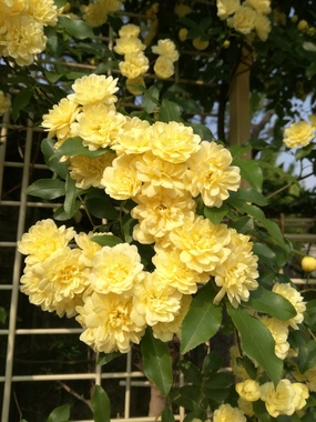 IMG_20190422_080056.jpg