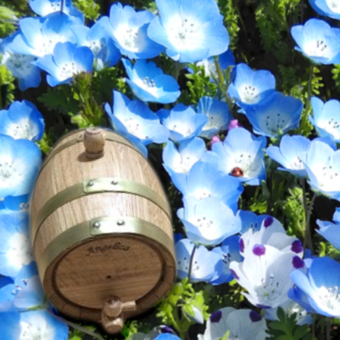 ICON_Nemophila_LEEx3.jpg