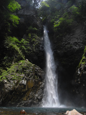 image_search_1556265840334.jpg