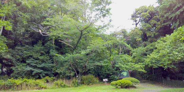 なんかいる とんび.jpg