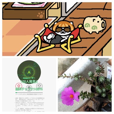 20190705_060824-COLLAGE.jpg