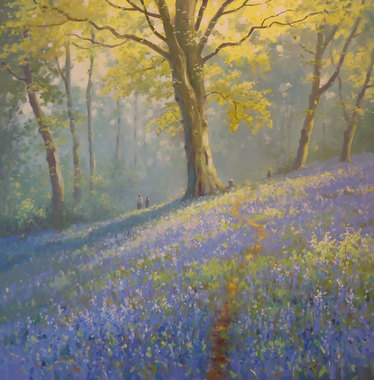 Sunlight_and_bluebells.jpg