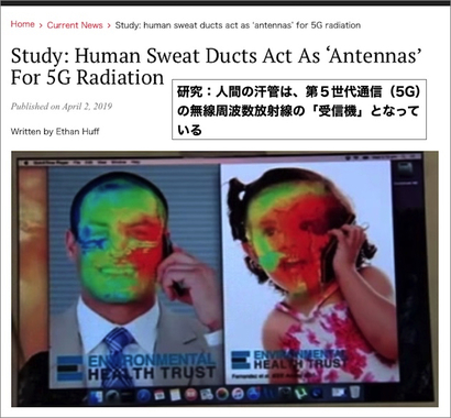 ベルギーでは5gが導入中止に ヤフーニュースより 掲示板 マイネ王