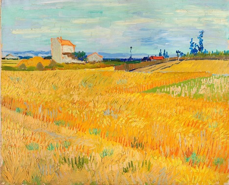 ゴッホ「麦畑」.jpg