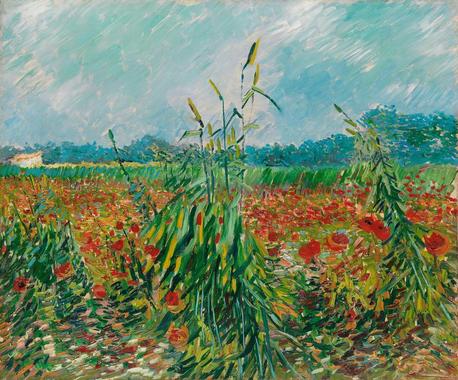 ゴッホ「麦畑とポピー」.jpg