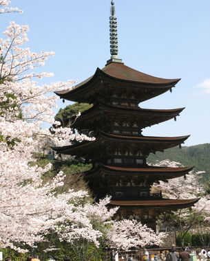 â04æ(2010)_å±±å£ç çå
寺.JPG