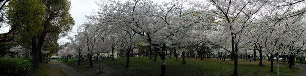 PANO_20170408_160145.jpg