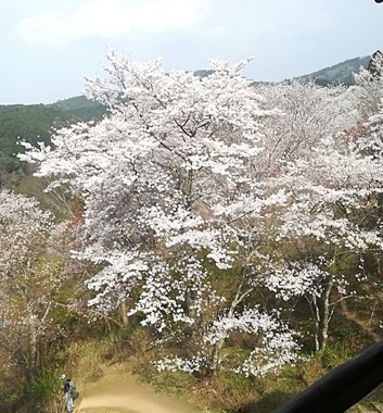 20180402_吉野遠景.jpg