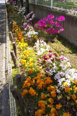 IMG_20200501_132135.jpg