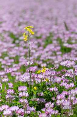 C9384A87-46D9-4DF9-AC22-9BF9837B9693.jpeg