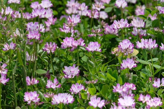 D91084A8-B036-45DC-8E37-2855826B6EFB.jpeg