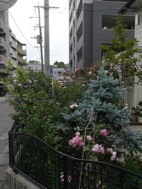 IMG_20200509_155222.jpg