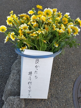 裏路地にて20200511-01.jpg