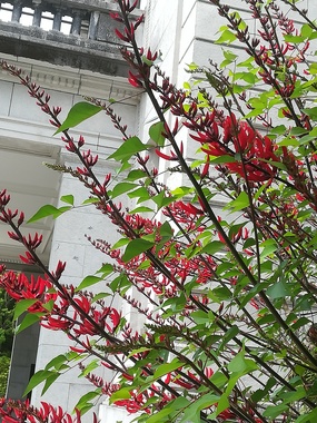IMG_20200515_102738.jpg