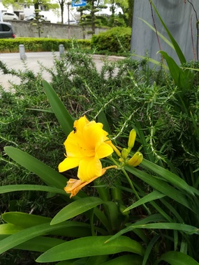 IMG_20200515_104623.jpg
