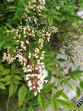 IMG_20200519_160009.jpg