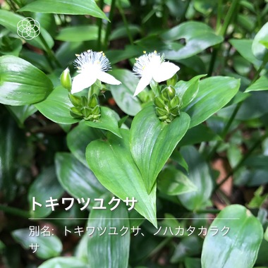 368789B4-8294-4B0D-916A-AC61617544A9.jpeg
