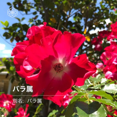 79F03E3F-F9F9-43EB-8AA3-6033AE4E694D.jpeg