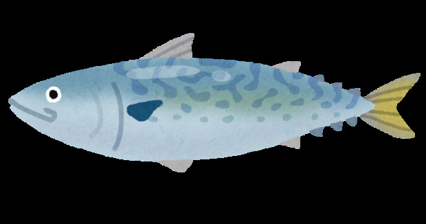 fish_saba2.png