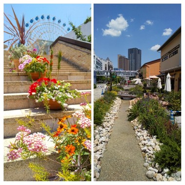 20200529_160841-COLLAGE.jpg