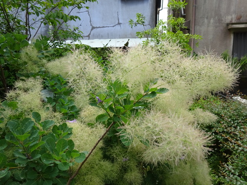 DSC00367.JPG