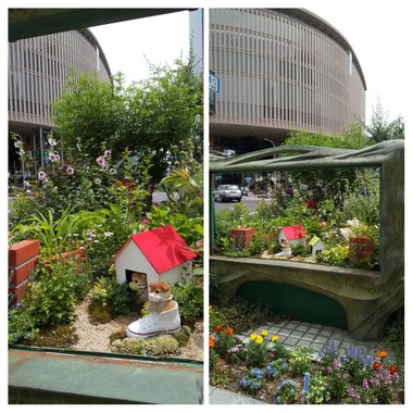 20200601_143928-COLLAGE.jpg