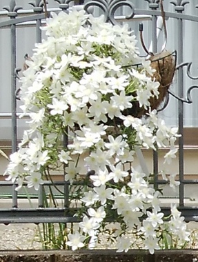 3D159647-E535-45AD-89AE-B4C796E19850.jpeg