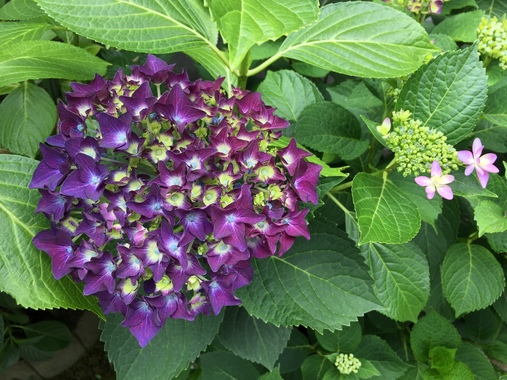 6D59AB3B-F2BD-4D17-BB43-D1D05450DCED.jpeg