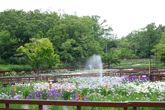 6396D376-898D-4304-AAD4-2D1D5C94045A.jpeg
