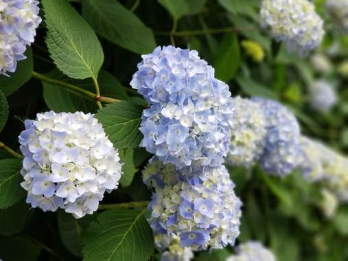 20190609_111022.jpg