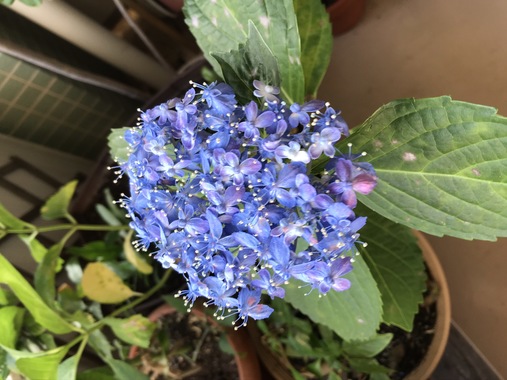 471E519F-02F5-4D00-AA2B-D5FCD65983D3.jpeg