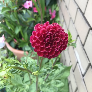 53BC8306-486B-4D76-89A9-AF238560E691.jpeg