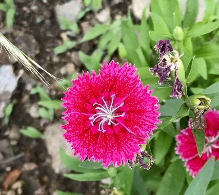9214EB3C-6D6B-41F7-98FD-AA8557F10ABC.jpeg
