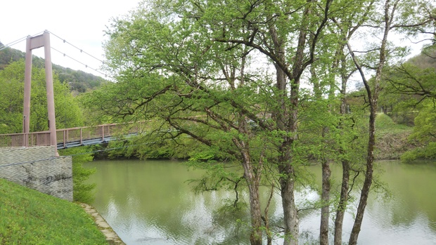 DSC_1913.JPG