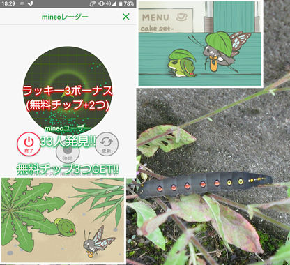 旅かえる20200621.jpg