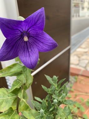 5196B11B-3E24-4F40-B435-4B5B8B61AC1B.jpeg