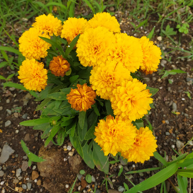 PSX_20200627_110603.jpg