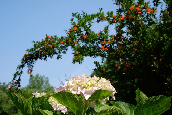 DA5D9A3C-BB27-4D73-984F-433FE3A157CB.jpeg