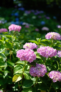 3E40B1C6-1592-4C5C-8456-2024B967A81D.jpeg